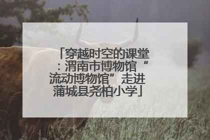 穿越时空的课堂：渭南市博物馆“流动博物馆”走进蒲城县尧柏小学