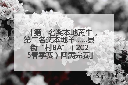 第一名奖本地黄牛，第二名奖本地羊……县街“村BA”（2025春季赛）圆满完赛