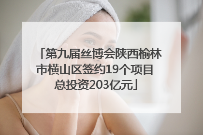 第九届丝博会陕西榆林市横山区签约19个项目 总投资203亿元