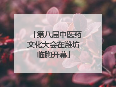 第八届中医药文化大会在潍坊临朐开幕