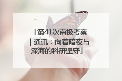 第41次南极考察｜通讯：向着暗夜与深海的科研坚守