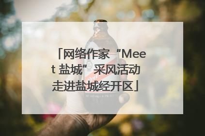 网络作家“Meet 盐城”采风活动走进盐城经开区