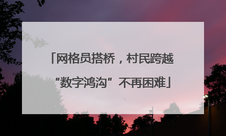 网格员搭桥，村民跨越“数字鸿沟”不再困难