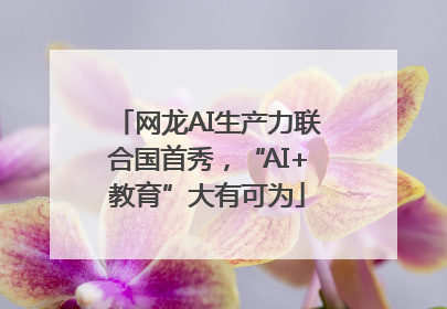 网龙AI生产力联合国首秀，“AI+教育”大有可为