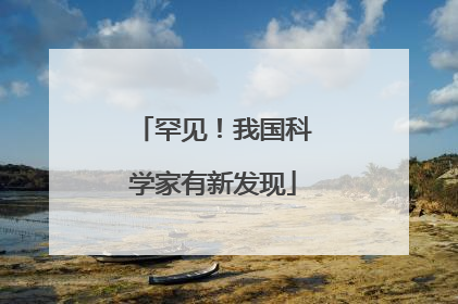 罕见！我国科学家有新发现