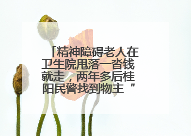 精神障碍老人在卫生院甩落一沓钱就走，两年多后桂阳民警找到物主“完璧归赵”