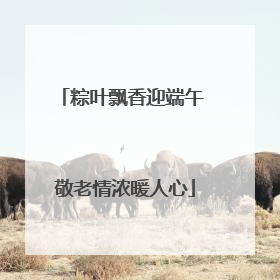 粽叶飘香迎端午 敬老情浓暖人心