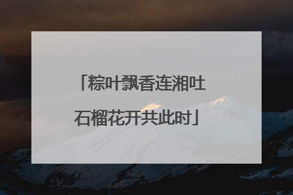 粽叶飘香连湘吐 石榴花开共此时