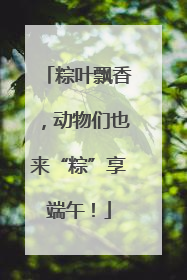 粽叶飘香，动物们也来“粽”享端午！