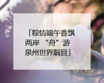 粽情端午香飘两岸 “舟”游泉州世界瞩目