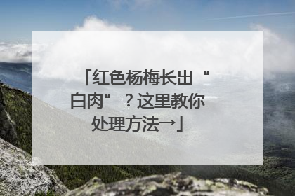 红色杨梅长出“白肉”？这里教你处理方法→