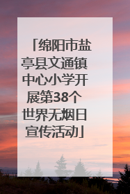 绵阳市盐亭县文通镇中心小学开展第38个世界无烟日宣传活动