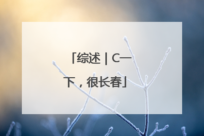 综述｜C一下，很长春