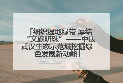 细织湿地绿带 厚结“文旅明珠”——中法武汉生态示范城挖掘绿色发展新动能