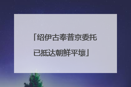 绍伊古奉普京委托已抵达朝鲜平壤