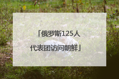 俄罗斯125人代表团访问朝鲜