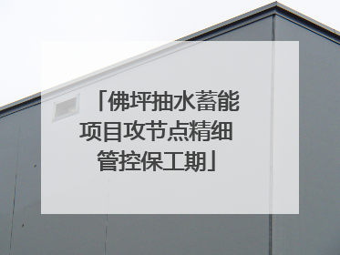佛坪抽水蓄能项目攻节点精细管控保工期