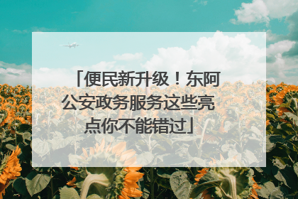 便民新升级！东阿公安政务服务这些亮点你不能错过
