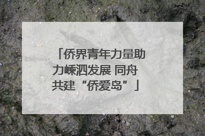 侨界青年力量助力嵊泗发展 同舟共建“侨爱岛”