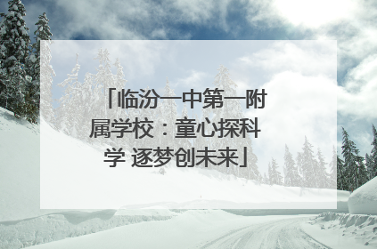 临汾一中第一附属学校：童心探科学 逐梦创未来