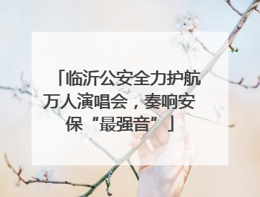临沂公安全力护航万人演唱会，奏响安保“最强音”