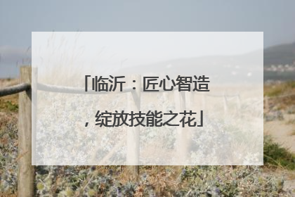 临沂：匠心智造，绽放技能之花