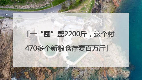 一“囤”盛2200斤，这个村470多个新粮仓存麦百万斤