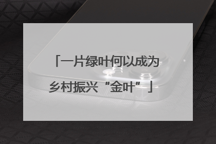 一片绿叶何以成为乡村振兴“金叶”