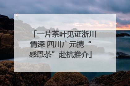 一片茶叶见证浙川情深 四川广元携“感恩茶”赴杭推介