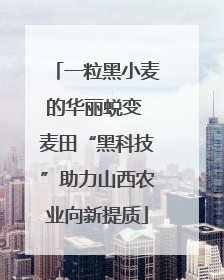 一粒黑小麦的华丽蜕变 麦田“黑科技”助力山西农业向新提质