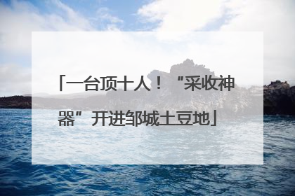 一台顶十人！“采收神器”开进邹城土豆地
