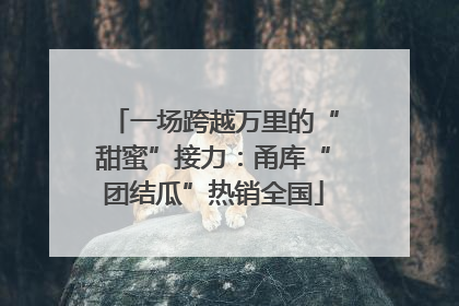 一场跨越万里的“甜蜜”接力：甬库“团结瓜”热销全国
