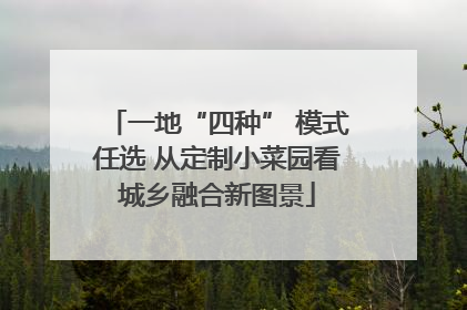 一地“四种” 模式任选 从定制小菜园看城乡融合新图景