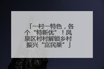 一村一特色，各个“特新优”！凤泉区村村解锁乡村振兴“富民果”