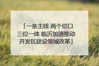 一条主线 两个切口 三位一体 临沂加速推动开发区建设领域改革