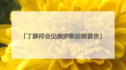 丁薛祥会见俄罗斯总统普京