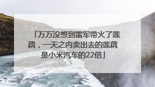 万万没想到雷军带火了莲藕，一天之内卖出去的莲藕是小米汽车的22倍