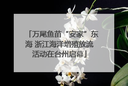 万尾鱼苗“安家”东海 浙江海洋增殖放流活动在台州启幕