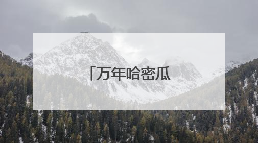 万年哈密瓜甜蜜上市了