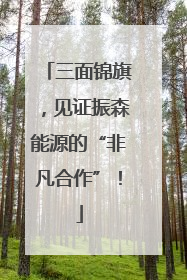 三面锦旗，见证振森能源的“非凡合作”！