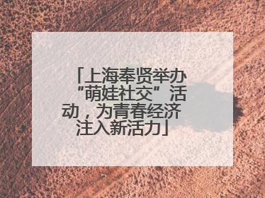 上海奉贤举办“萌娃社交”活动，为青春经济注入新活力