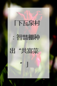 下瓦泉村：智慧棚种出“共富菜”