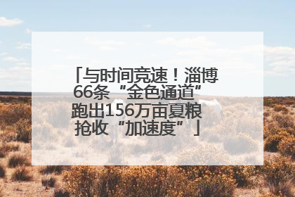 与时间竞速！淄博66条“金色通道”跑出156万亩夏粮抢收“加速度”