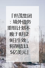 世茂集团：境外债务重组计划不晚于8月29日生效，将削债115亿美元