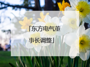 东方电气董事长调整