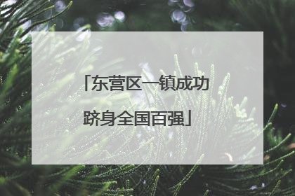 东营区一镇成功跻身全国百强