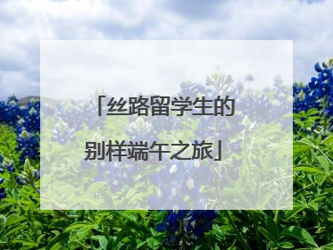 丝路留学生的别样端午之旅