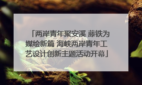 两岸青年聚安溪 藤铁为媒绘新篇 海峡两岸青年工艺设计创新主题活动开幕