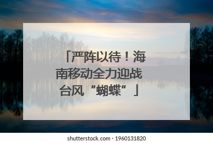 严阵以待！海南移动全力迎战台风“蝴蝶”