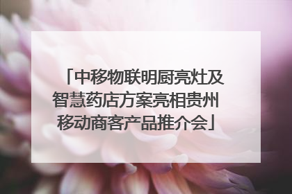 中移物联明厨亮灶及智慧药店方案亮相贵州移动商客产品推介会